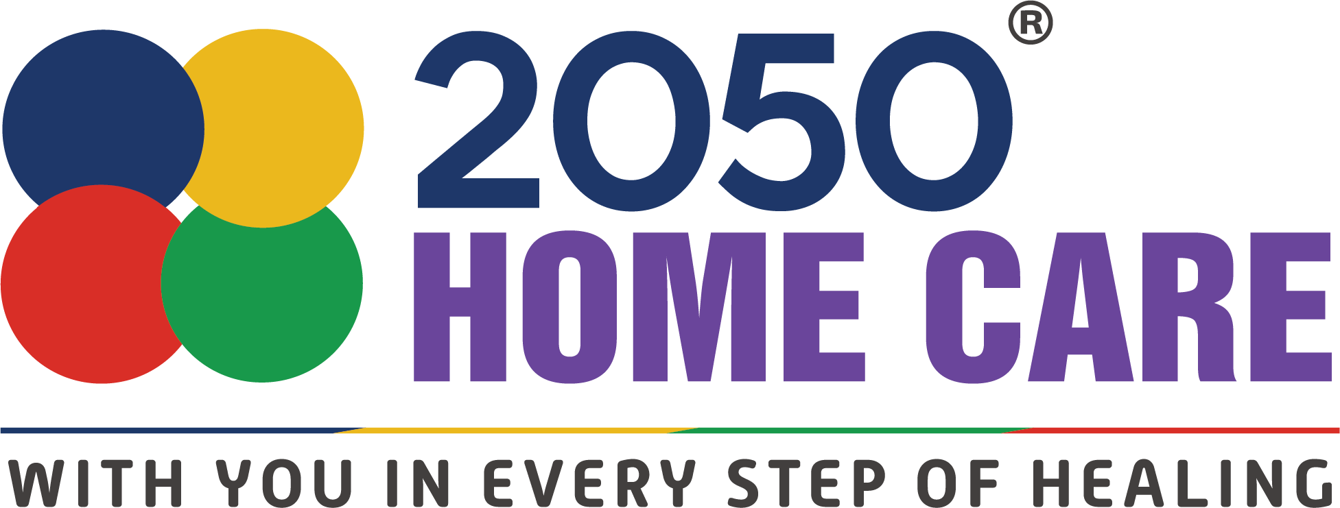 Home Healthcare Icon