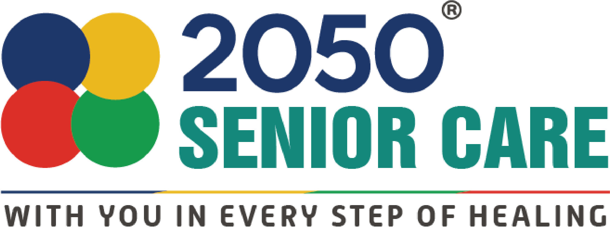 Home Healthcare Icon